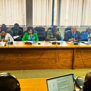 Presidente da UNITA, Adalberto Costa Júnior, presente nas reuniões do Parlamento Pan-Africano