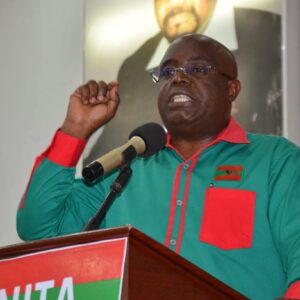 Álvaro Chikwamanga, Vice-Presidente para os Assuntos Eleitorais